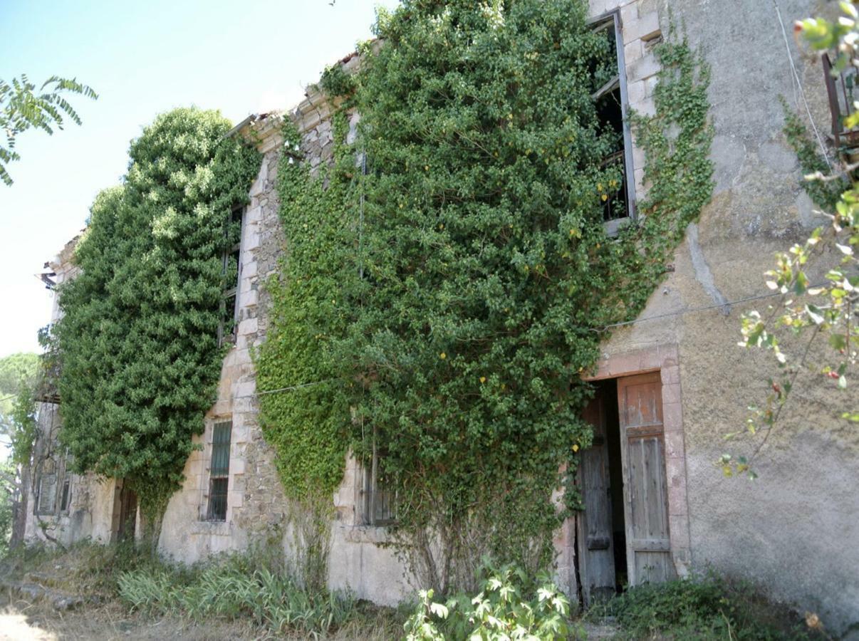 B&B Armony Bono Bono (Sassari) Exterior foto